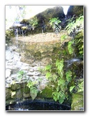 Fairchild-Chihuly-Blown-Glass-Art-0147