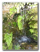 Fairchild-Chihuly-Blown-Glass-Art-0149