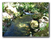 Fairchild-Chihuly-Blown-Glass-Art-0155