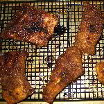 Faux BBQ Memphis Dry Rub Pressure Cooker Pork Ribs