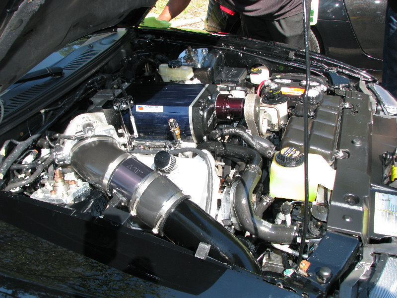 Festivals-of-Speed-Exotic-Car-Show-St-Petersburg-FL-012