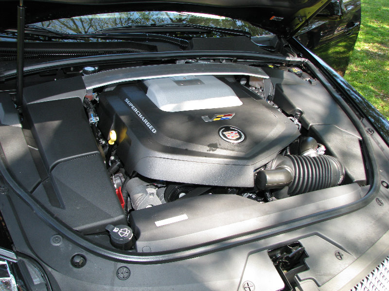 Festivals-of-Speed-Exotic-Car-Show-St-Petersburg-FL-104