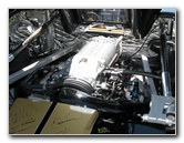 Festivals-of-Speed-Exotic-Car-Show-St-Petersburg-FL-048