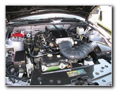 Festivals-of-Speed-Exotic-Car-Show-St-Petersburg-FL-121