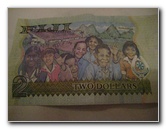 Fiji-Currency-FJD-Fijian-Dollars-009
