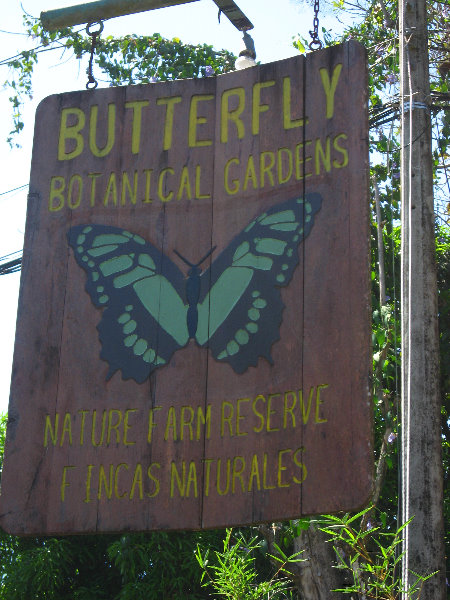 Fincas-Naturales-Butterfly-Garden-Costa-Rica-001