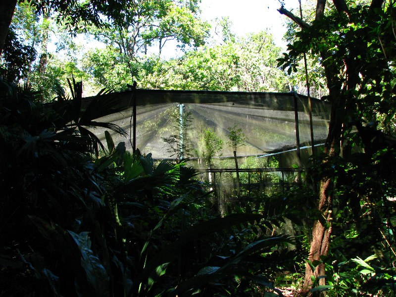 Fincas-Naturales-Butterfly-Garden-Costa-Rica-004