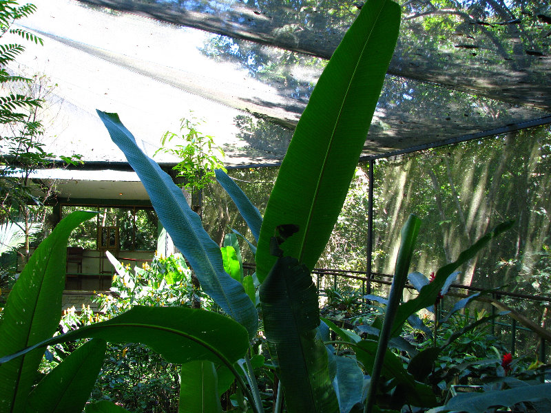 Fincas-Naturales-Butterfly-Garden-Costa-Rica-008