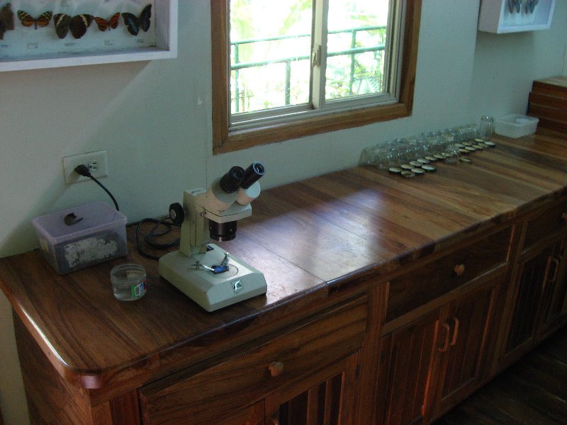 Fincas-Naturales-Butterfly-Garden-Costa-Rica-062