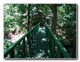 Fincas-Naturales-Butterfly-Garden-Costa-Rica-003