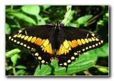 Fincas Naturales Wildlife Refuge - Manuel Antonio, Costa Rica