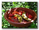 Fincas-Naturales-Butterfly-Garden-Costa-Rica-055