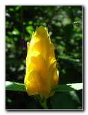 Fincas-Naturales-Butterfly-Garden-Costa-Rica-057