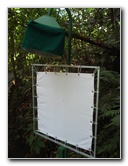 Fincas-Naturales-Butterfly-Garden-Costa-Rica-089