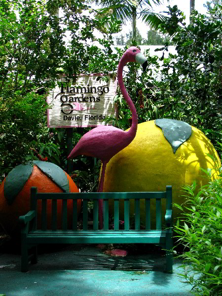 Flamingo-Gardens-Davie-FL-011