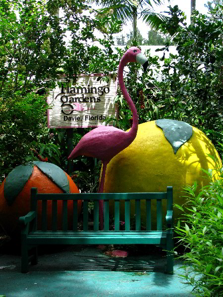 Flamingo-Gardens-Davie-FL-011