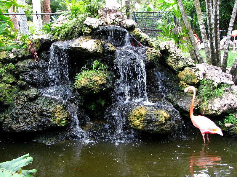 Flamingo-Gardens-Davie-FL-029