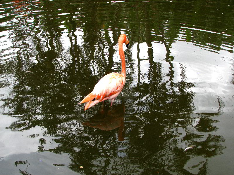 Flamingo-Gardens-Davie-FL-038