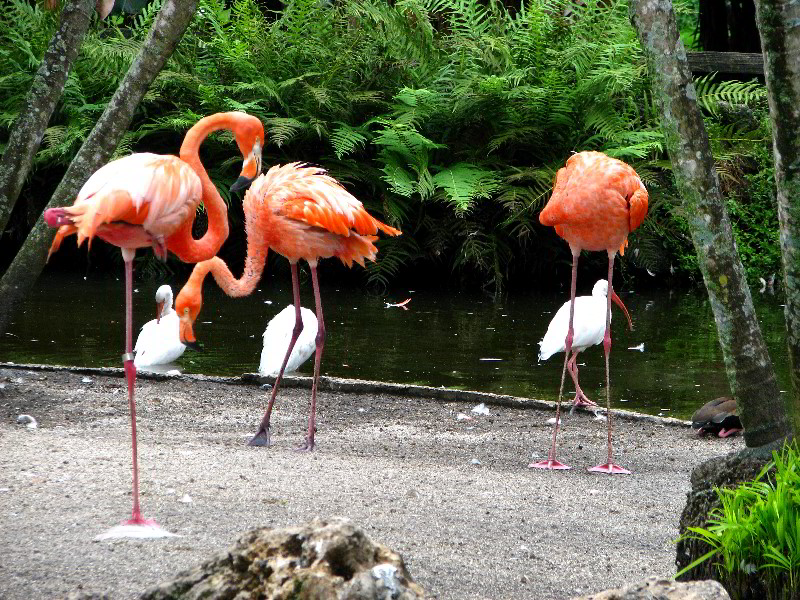 Flamingo-Gardens-Davie-FL-040
