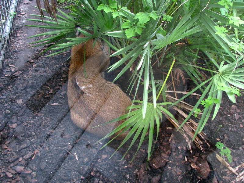 Flamingo-Gardens-Davie-FL-056