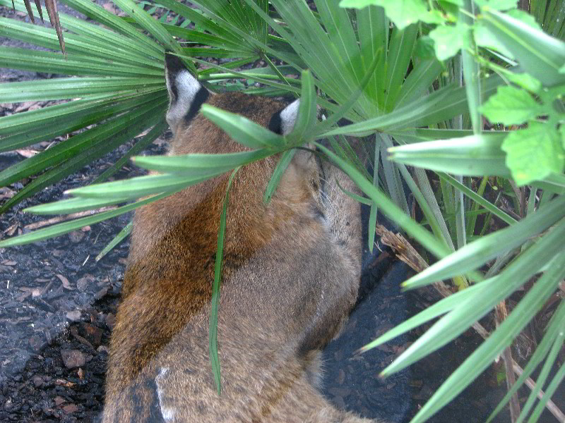 Flamingo-Gardens-Davie-FL-057