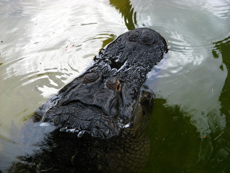 Flamingo-Gardens-Davie-FL-058