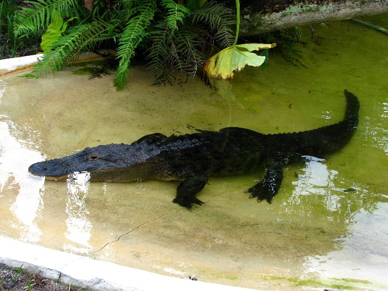 Flamingo-Gardens-Davie-FL-061