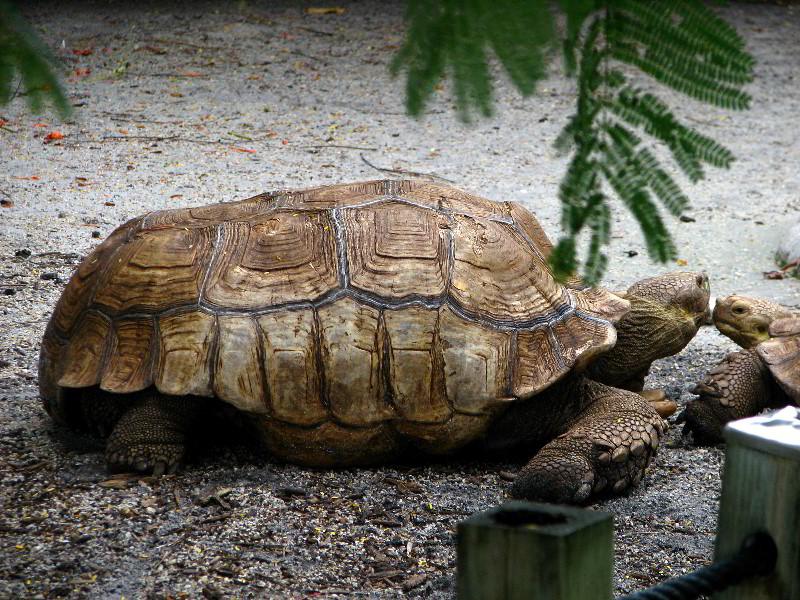 Flamingo-Gardens-Davie-FL-064