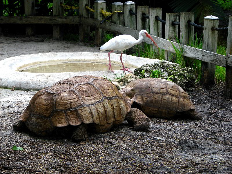 Flamingo-Gardens-Davie-FL-065