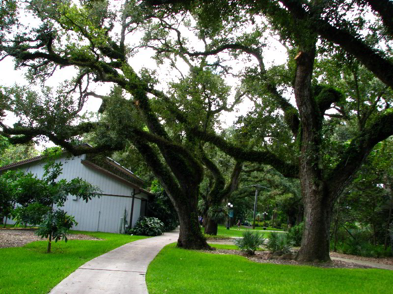 Flamingo-Gardens-Davie-FL-073