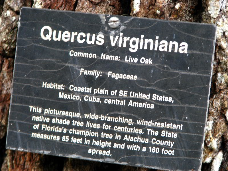 Flamingo-Gardens-Davie-FL-075