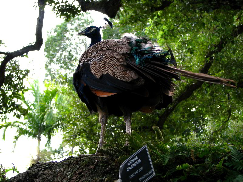 Flamingo-Gardens-Davie-FL-076