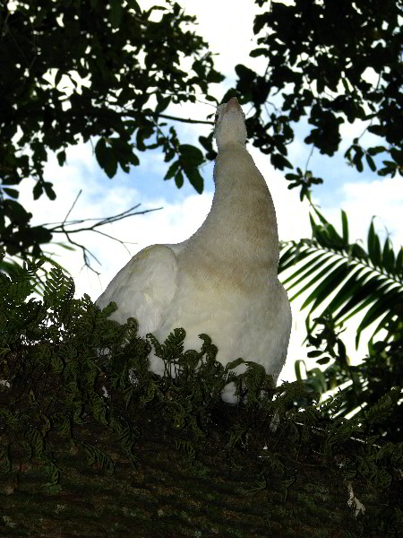 Flamingo-Gardens-Davie-FL-079