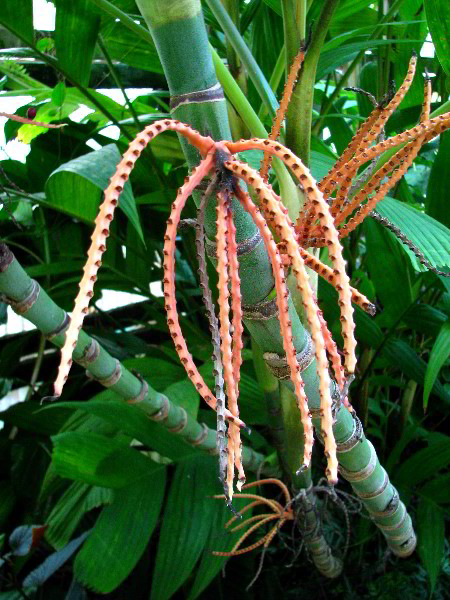 Flamingo-Gardens-Davie-FL-088