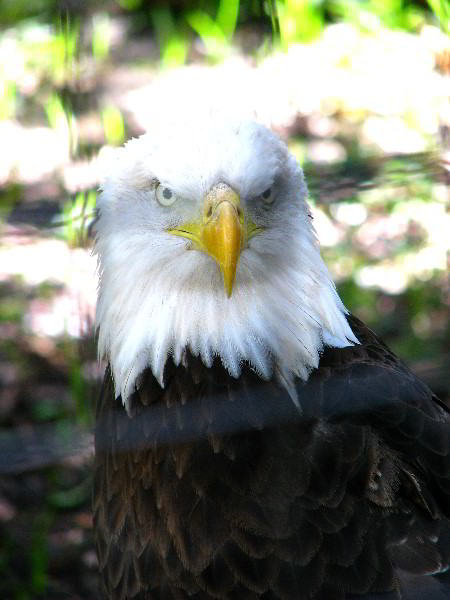 Flamingo-Gardens-Davie-FL-093