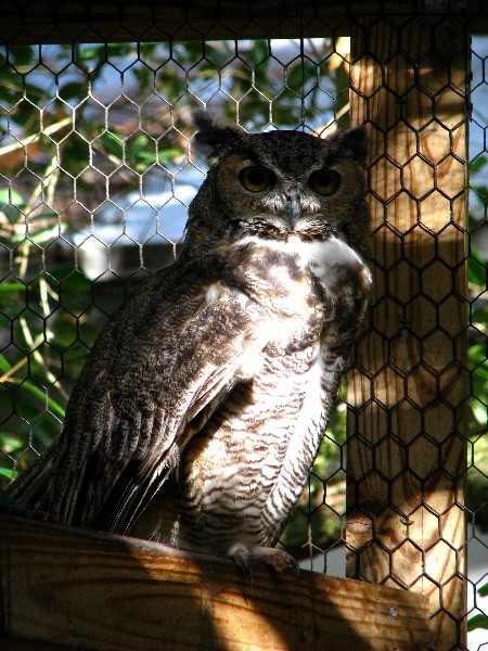 Flamingo-Gardens-Davie-FL-103