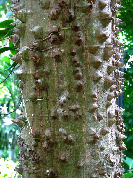 Flamingo-Gardens-Davie-FL-119