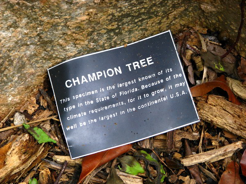 Flamingo-Gardens-Davie-FL-135