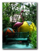 Flamingo-Gardens-Davie-FL-011