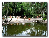 Flamingo-Gardens-Davie-FL-023