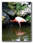 Flamingo-Gardens-Davie-FL-028