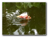 Flamingo-Gardens-Davie-FL-037