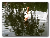 Flamingo-Gardens-Davie-FL-039