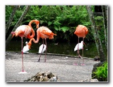Flamingo-Gardens-Davie-FL-040