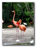 Flamingo-Gardens-Davie-FL-045
