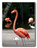 Flamingo-Gardens-Davie-FL-049