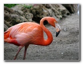 Flamingo-Gardens-Davie-FL-050