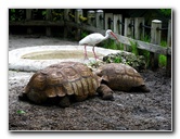 Flamingo-Gardens-Davie-FL-065