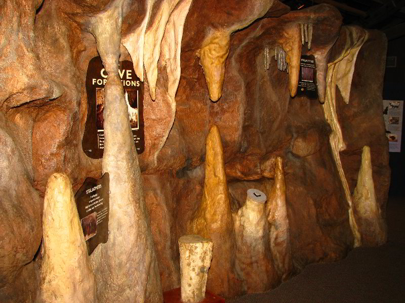 Florida-Caverns-State-Park-Marianna-FL-013