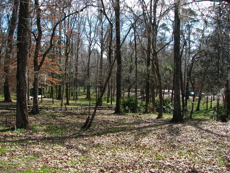 Florida-Caverns-State-Park-Marianna-FL-024